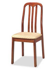 ���� �������